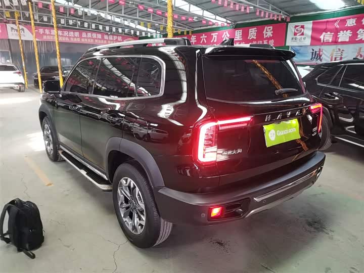 Фото 5 - Haval Dargo