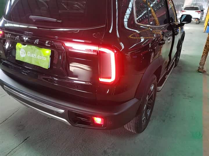 Фото 8 - Haval Dargo