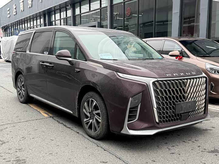 Фото 3 - Maxus G90