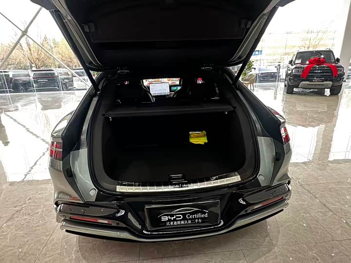 Фото 4 - Denza Z9GT