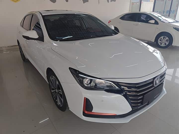 Фото 4 - Changan Raeton CC