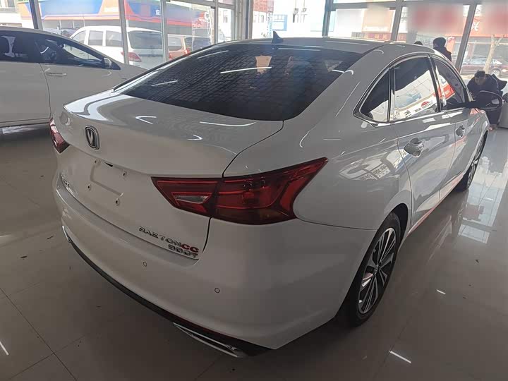 Фото 7 - Changan Raeton CC