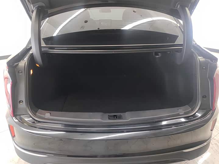 Фото 4 - Hongqi E-QM5