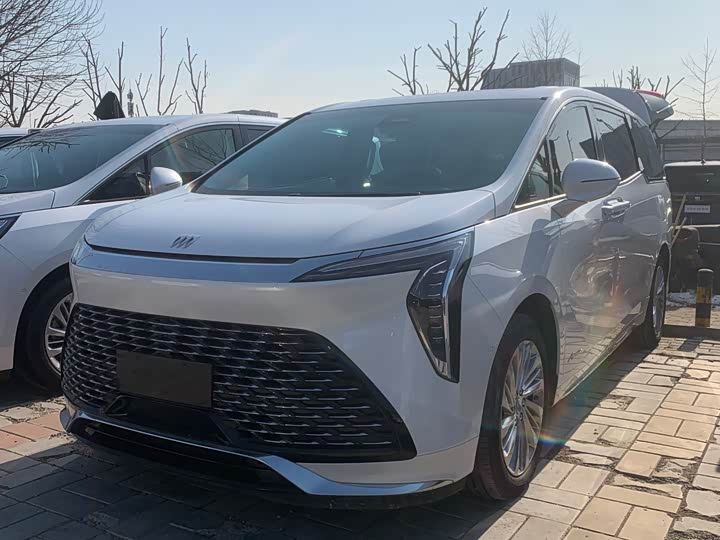 Фото 1 - Buick GL8 Century