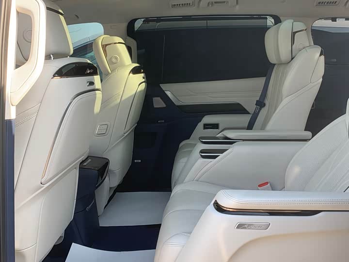 Фото 5 - Buick GL8 Century