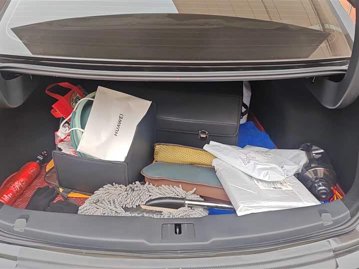 Фото 4 - Hongqi E-QM5