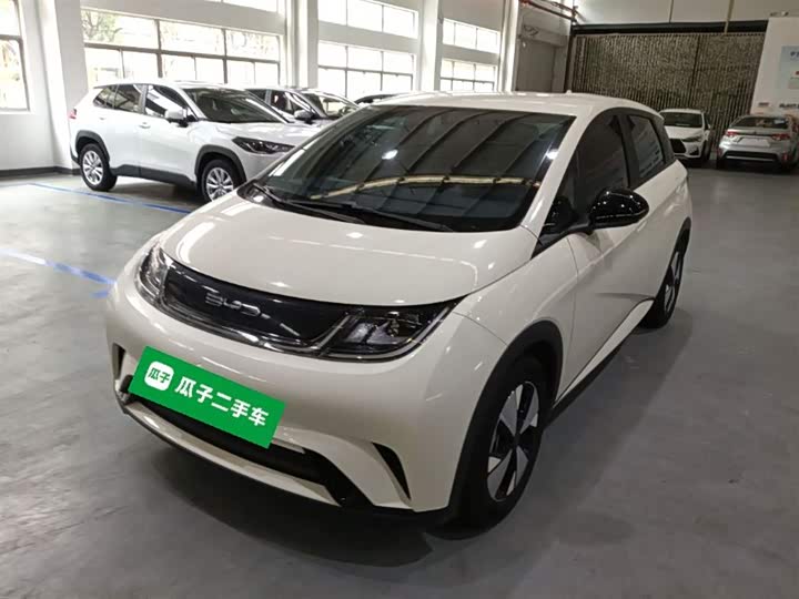 Фото 1 - BYD Dolphin