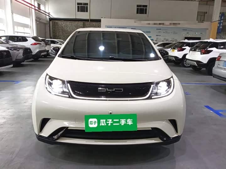 Фото 3 - BYD Dolphin