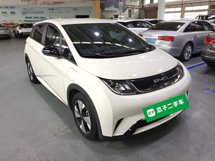 Фото 4 - BYD Dolphin