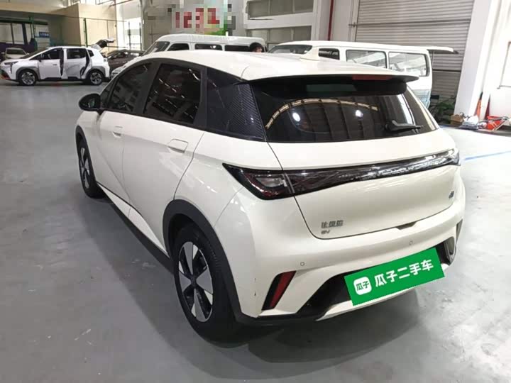 Фото 5 - BYD Dolphin