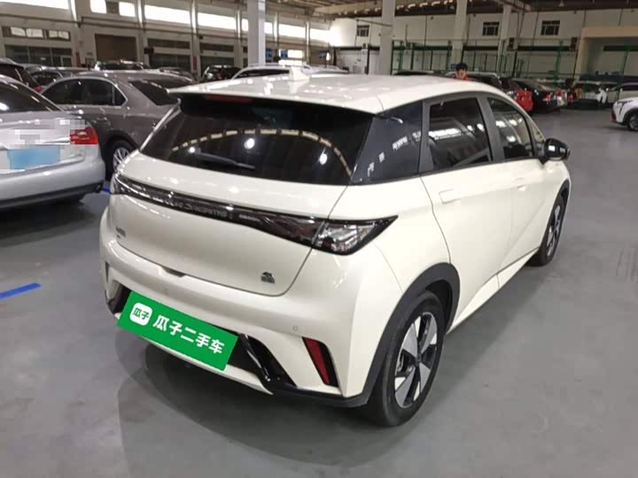 Фото 7 - BYD Dolphin