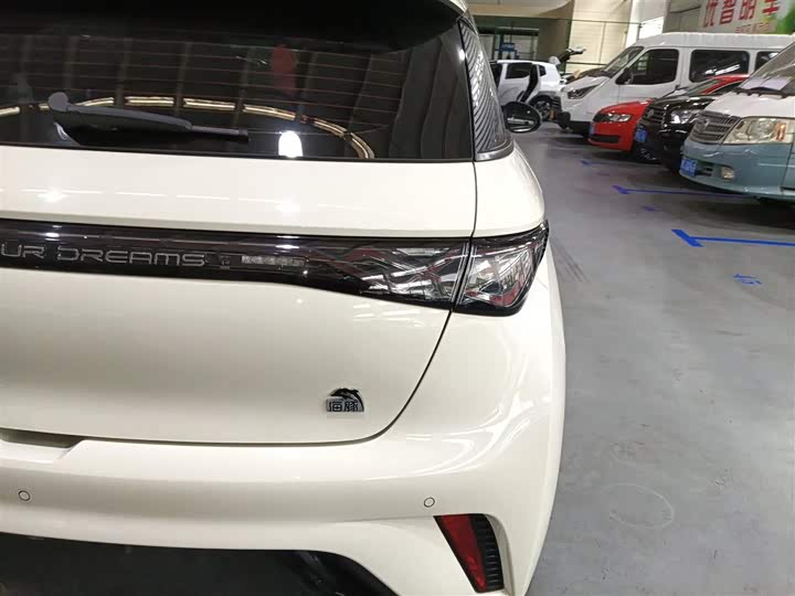 Фото 8 - BYD Dolphin