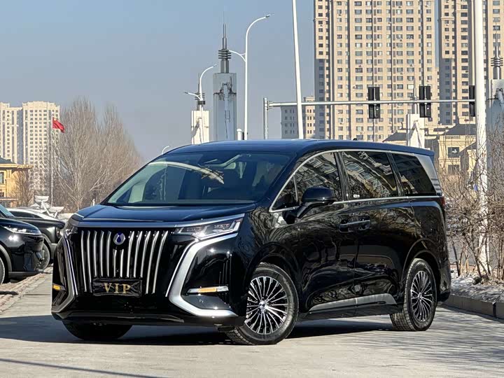 Фото 1 - Denza D9