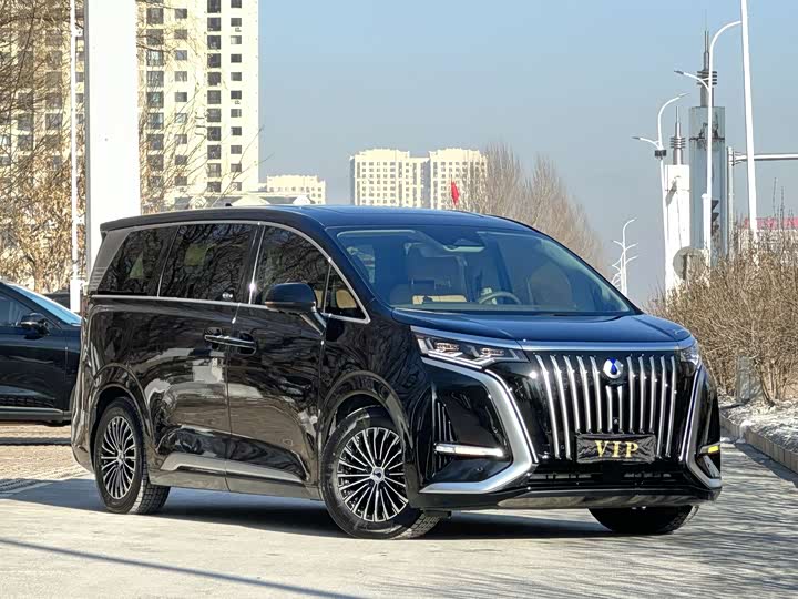 Фото 3 - Denza D9