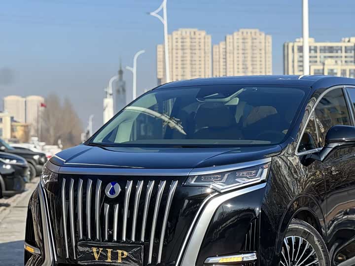 Фото 6 - Denza D9