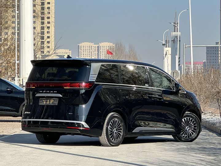 Фото 8 - Denza D9