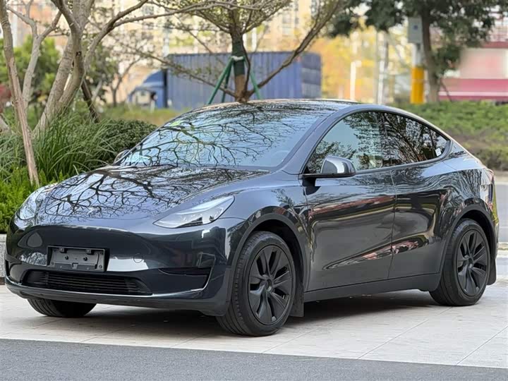 Фото 3 - Tesla Model Y