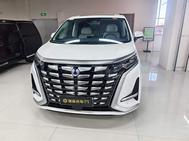 Фото 2 - Denza D9