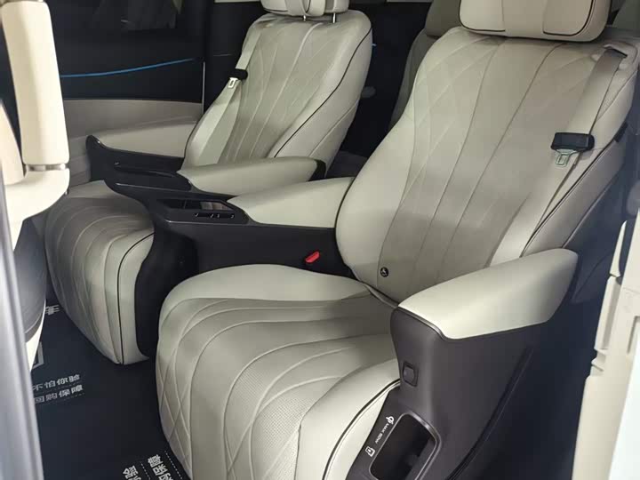 Фото 4 - Denza D9