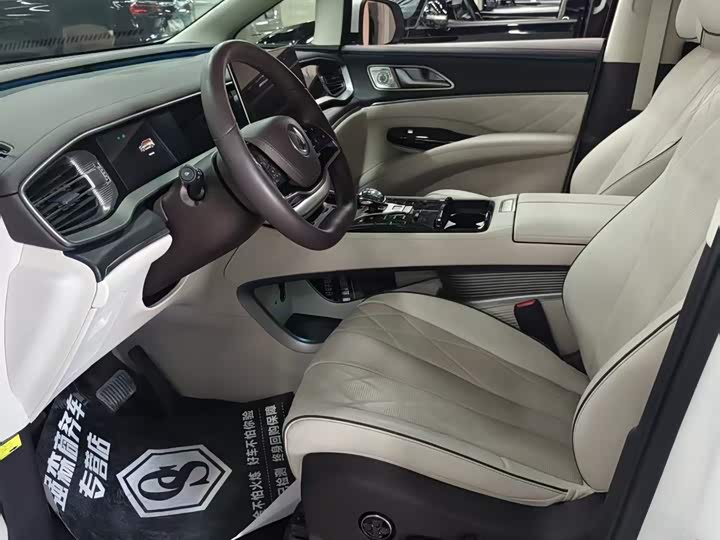 Фото 5 - Denza D9