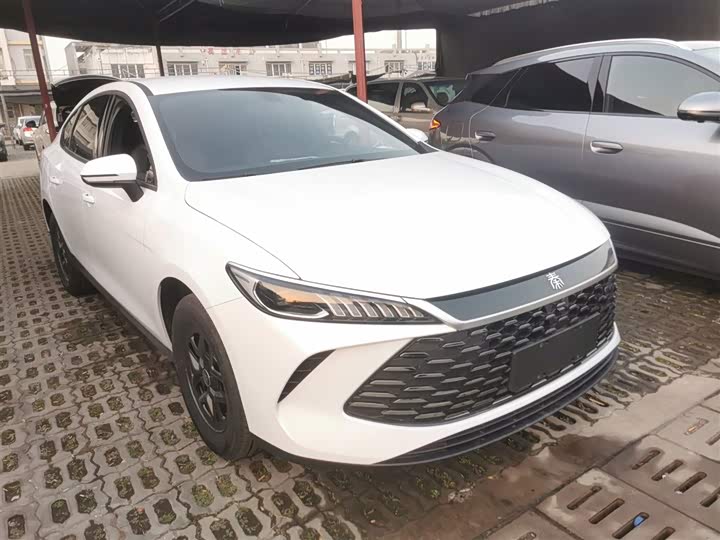 Фото 4 - BYD Qin Plus