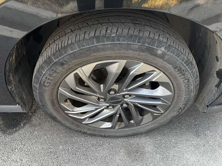 Фото 6 - Maxus G50