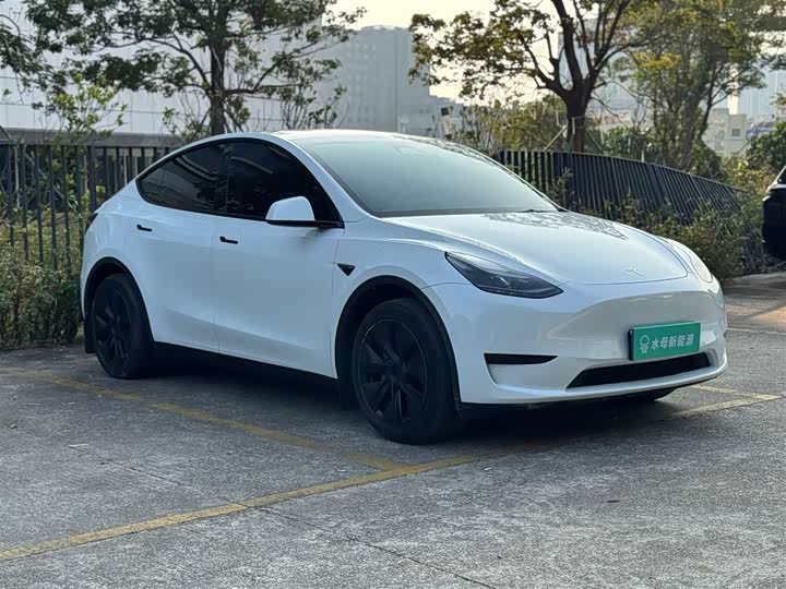 Фото 6 - Tesla Model Y