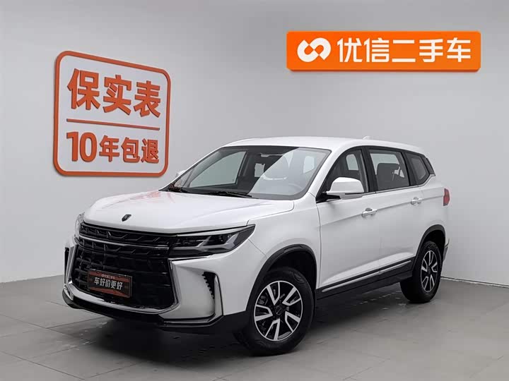 Фото 1 - Dongfeng Forthing T5