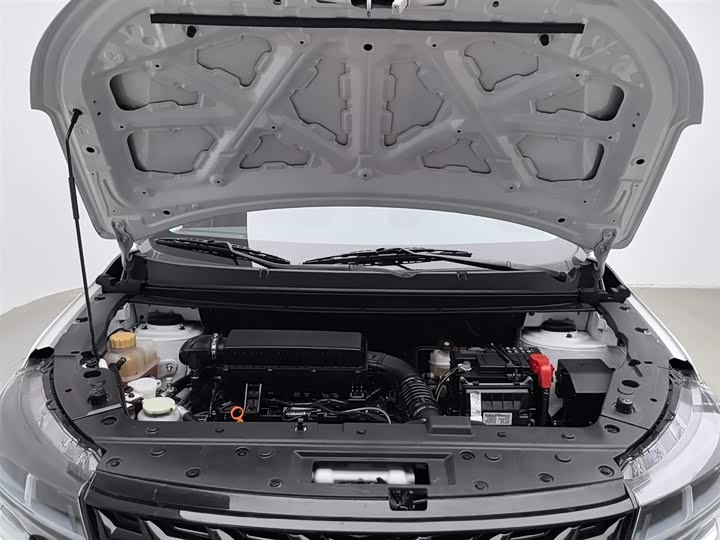 Фото 6 - Dongfeng Forthing T5