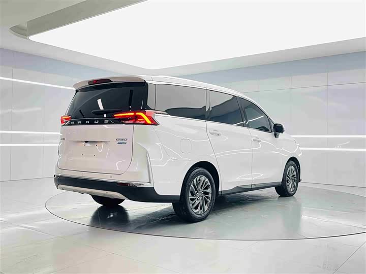 Фото 5 - Maxus G50