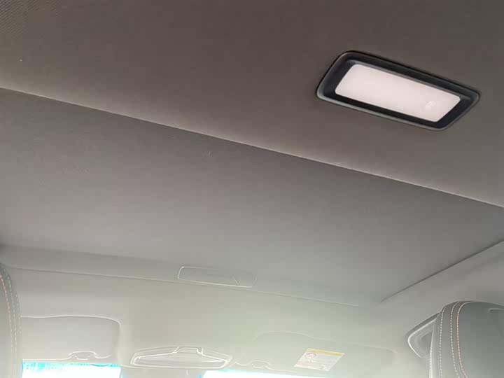 Фото 9 - Geely Binrui