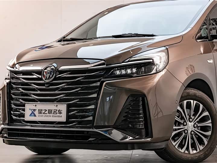 Фото 2 - Buick GL8 ES