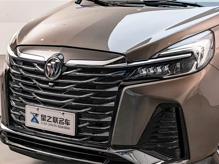 Фото 4 - Buick GL8 ES