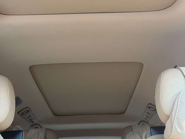 Фото 5 - Denza D9