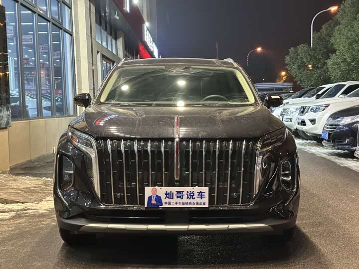Фото 2 - Hongqi HS7