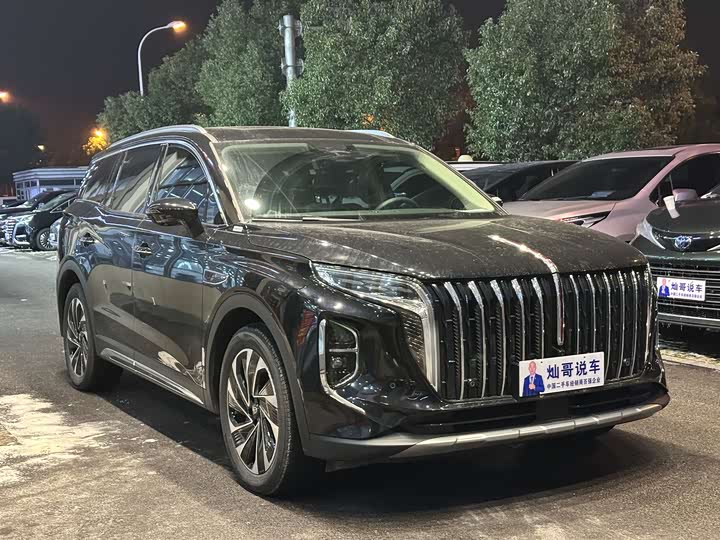 Фото 3 - Hongqi HS7