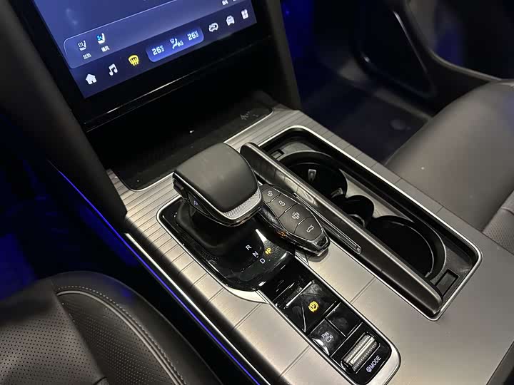 Фото 6 - Hongqi HS7