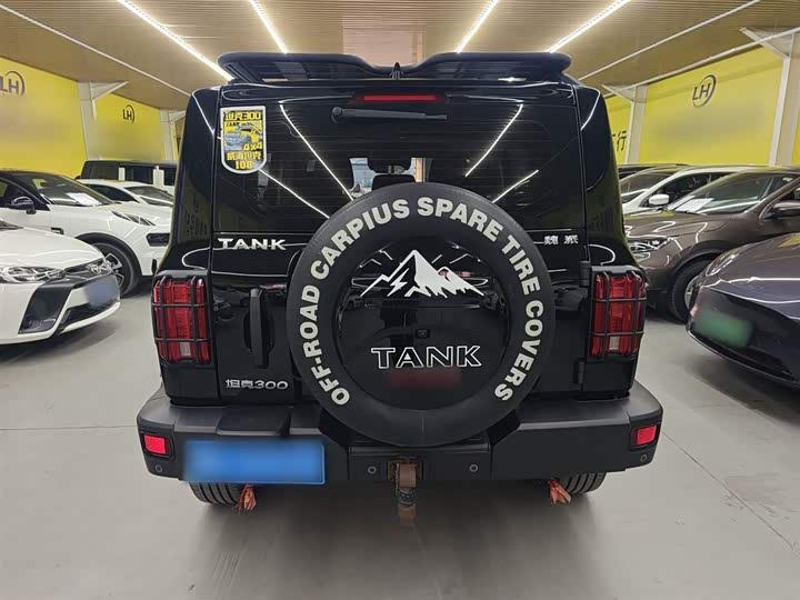 Фото 6 - Tank 300