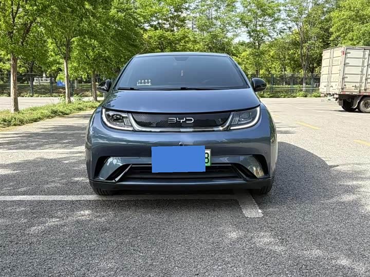 Фото 2 - BYD Dolphin