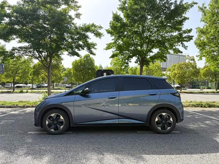 Фото 7 - BYD Dolphin