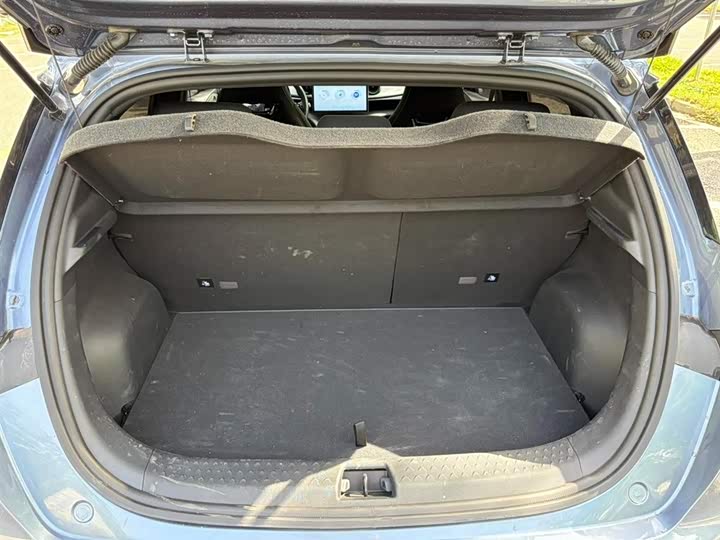 Фото 9 - BYD Dolphin