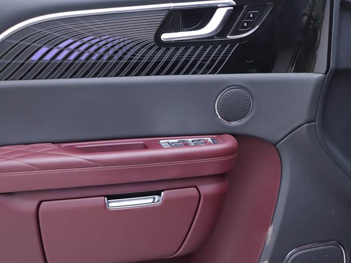 Фото 6 - Hongqi E-HS9