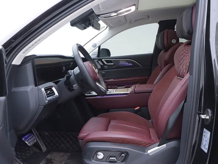 Фото 7 - Hongqi E-HS9