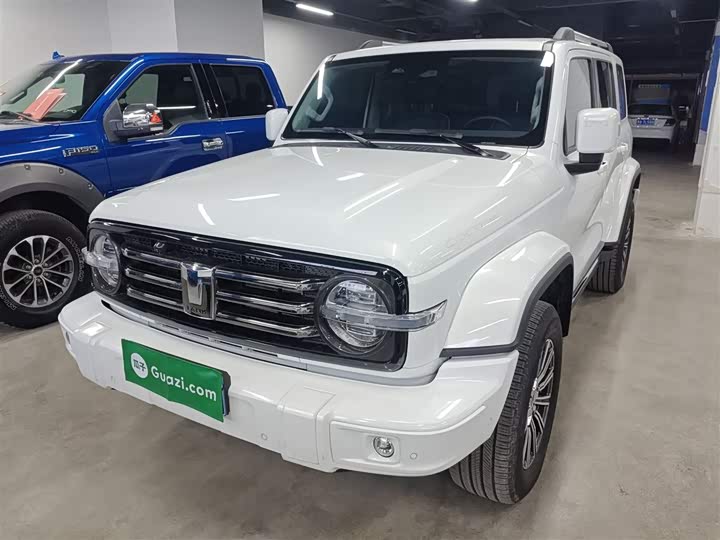 Фото 2 - Tank 300