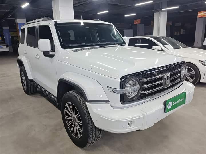 Фото 4 - Tank 300