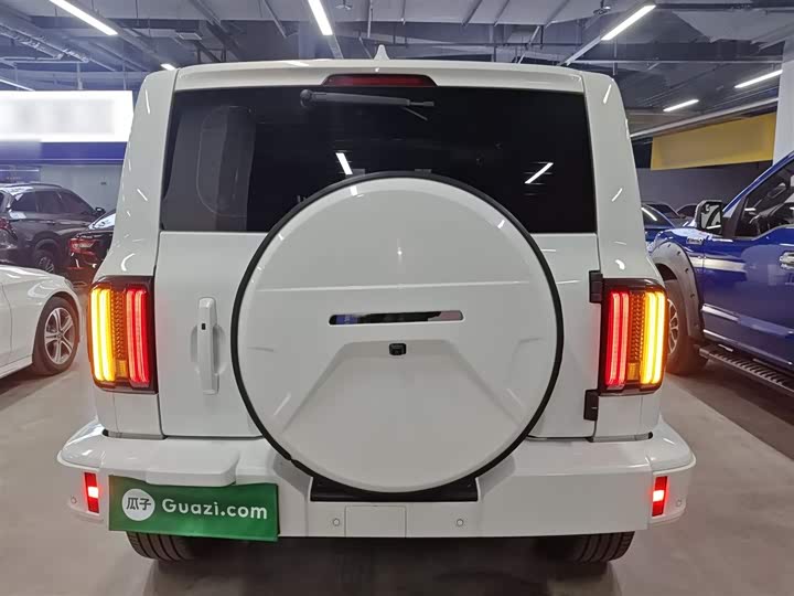 Фото 6 - Tank 300