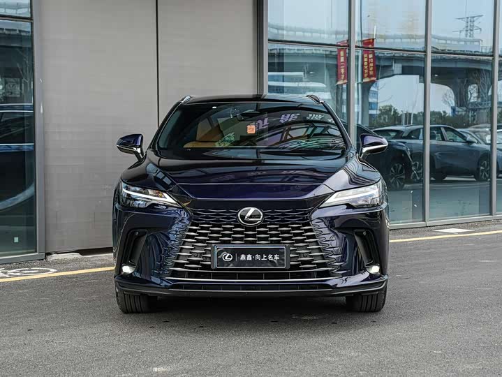 Фото 2 - Lexus RX