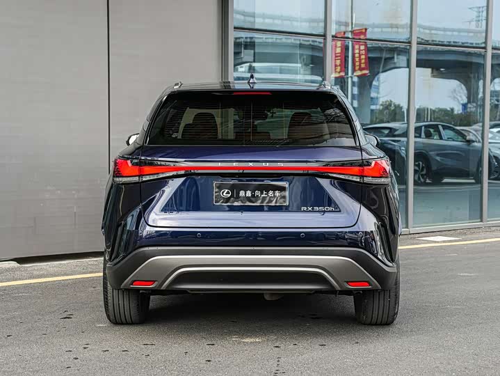 Фото 5 - Lexus RX