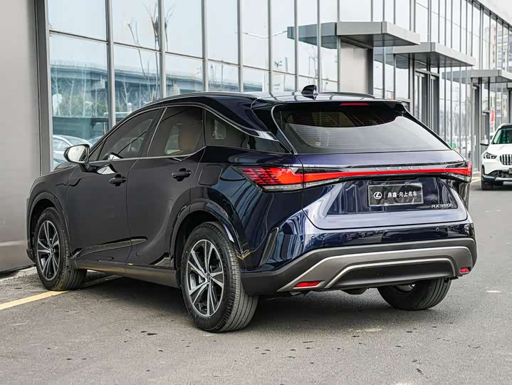 Фото 6 - Lexus RX