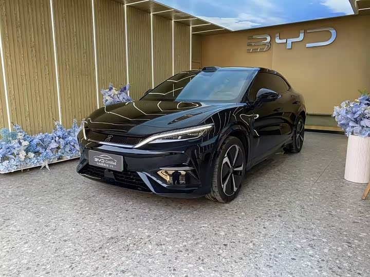 Фото 1 - BYD Song L